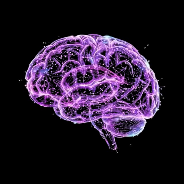 AI Solutions from Mobigrab