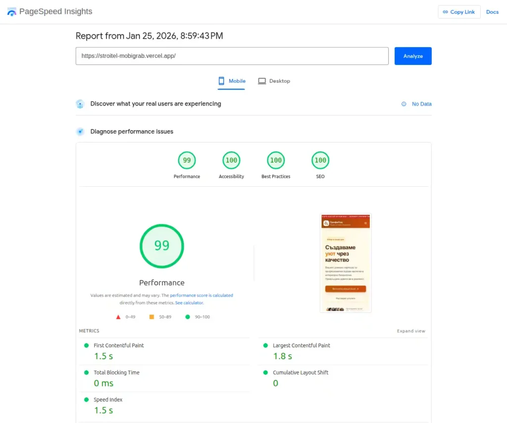 Google Page Speed Insights mobile version- 99/100/100/100